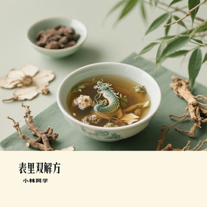表里双解方