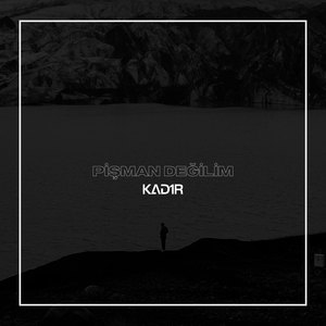 Pişman Değilim (Remix)