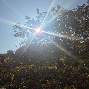 春の光(World Peace Song)