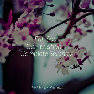 Nighttime Reflections