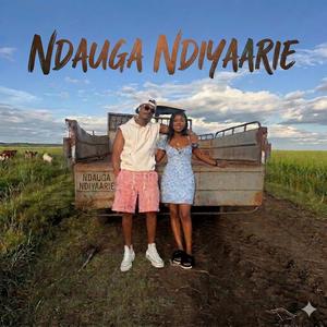 Ndauga Ndiyaarie