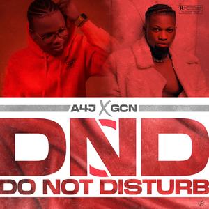 DND (Do Not Disturb) (feat. GCN)