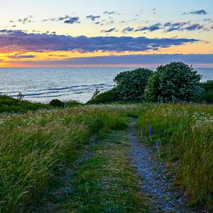 错过我的心事（BGM版）