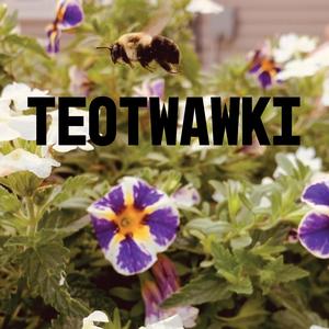 Teotwawki