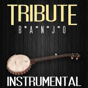 Banjo - Instrumental