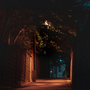 가로등 (feat. 태하)