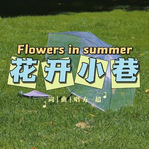 花开小巷（demo）