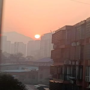 我的小鱼你醒了还记得早晨吗