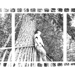 抱歉不等于再见