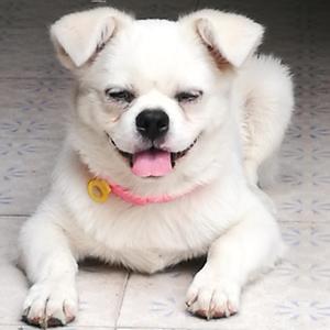 再见了音乐，和生活对线了