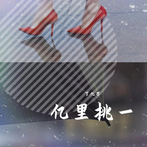 夏天的风