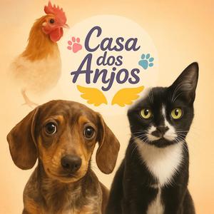 Castração é a solução