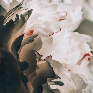 冥想音乐 柳下成荫