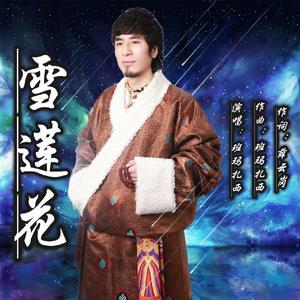 雪莲花—班玛扎西