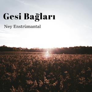 Gesi Bağları (Enstrümantal) Ney & Piyano (feat. Alper Gür)