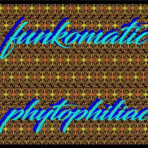 Funkomatic
