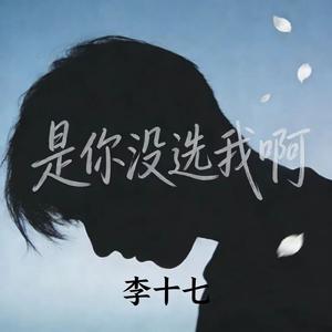 是你没选我啊
