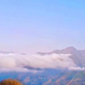 怎将情话递心间