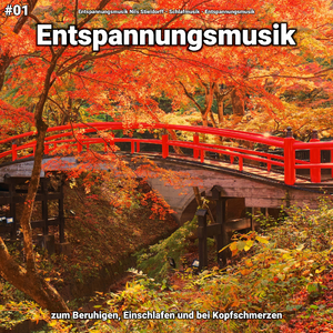 Entspannungsmusik pt. 46