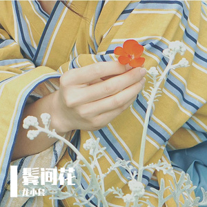 鬓间花（ft.龙小套）