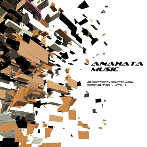 Polished (Instrumental Mix)