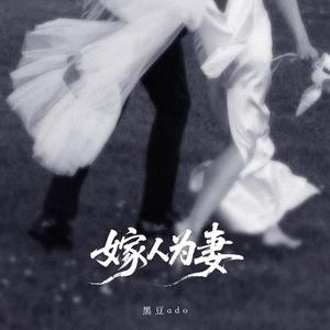 嫁人为妻 (DJ初瑶版)0.8x降调版