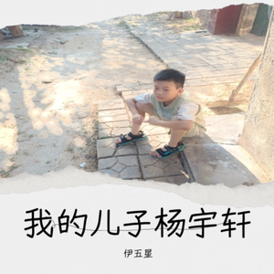 我的儿子杨宇轩