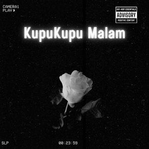 Kupu-Kupu Malam