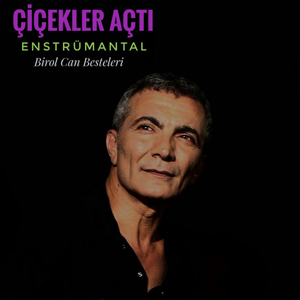 Gelincik (Gidecek Yerim Mi Var)