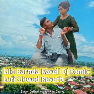 Lilo Barnda Kaveli (Dj Remix Lofi Slowed Reverb)