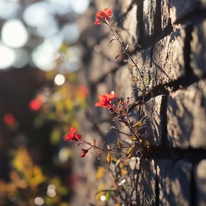 允许一些人的青春是安静的