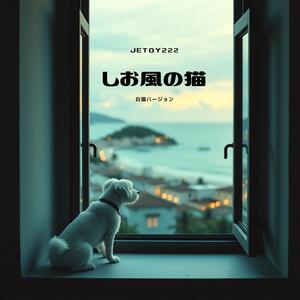 しお風の猫