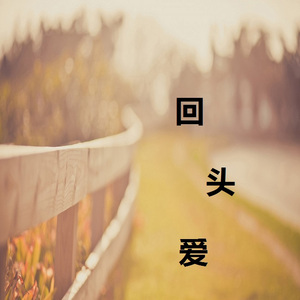 回头爱（Cover苏琛）