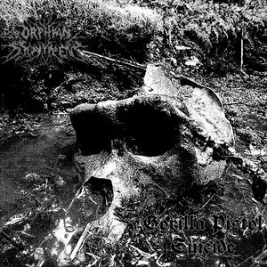 Honey Pack Heart Attack