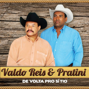 Paineira de Flores Brancas