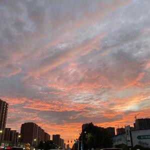 火红的萨日朗（翻自 乌兰托娅）