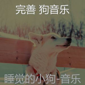 狗午睡-音乐