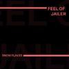 Snow Flakes - Feel of Jailer