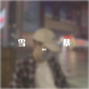 雪暴（翻自：隔壁老樊）（翻自 隔壁老樊）