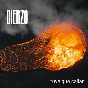 Tuve que callar