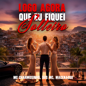 Logo Agora Que Eu Fiquei Solteiro