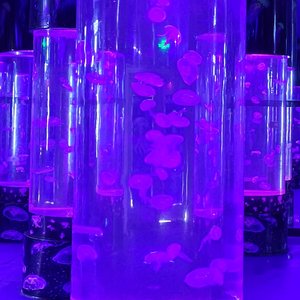 水生（prod EASONZHU）