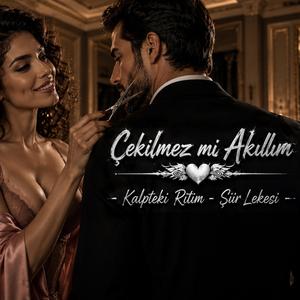 Çekilmez mi Akıllım