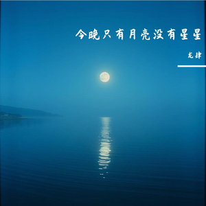 今晚只有月亮没有星星