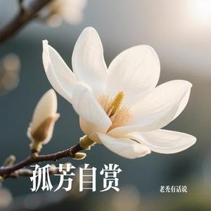 孤芳自赏