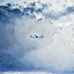 Otters are better than shoebills