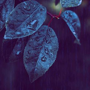 一尘不染放松印象数