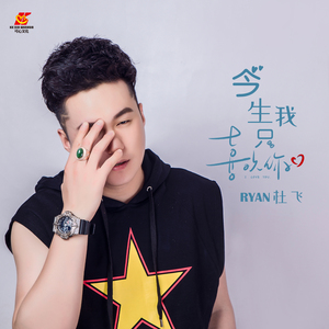 今生我只喜欢你