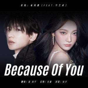 因为你（Ccheng / 不静音双子 remix）