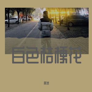 白色桔梗花